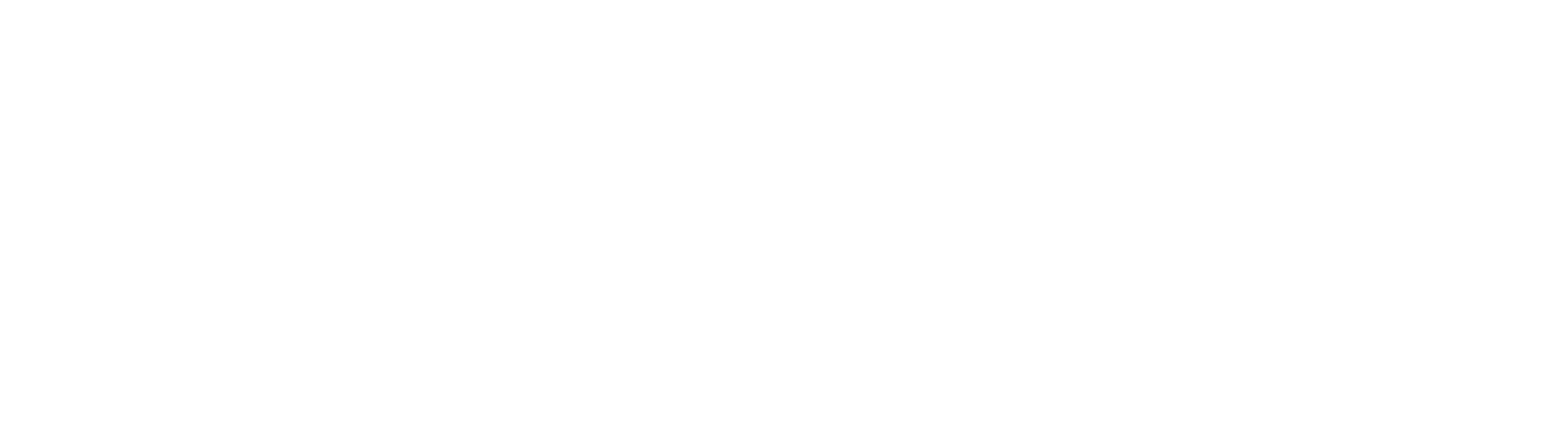 TT Media Logo
